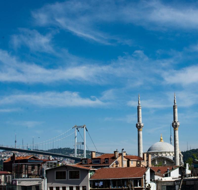 伊斯坦布尔考纳尔浩特酒店的享有清真寺和桥梁的城市美景