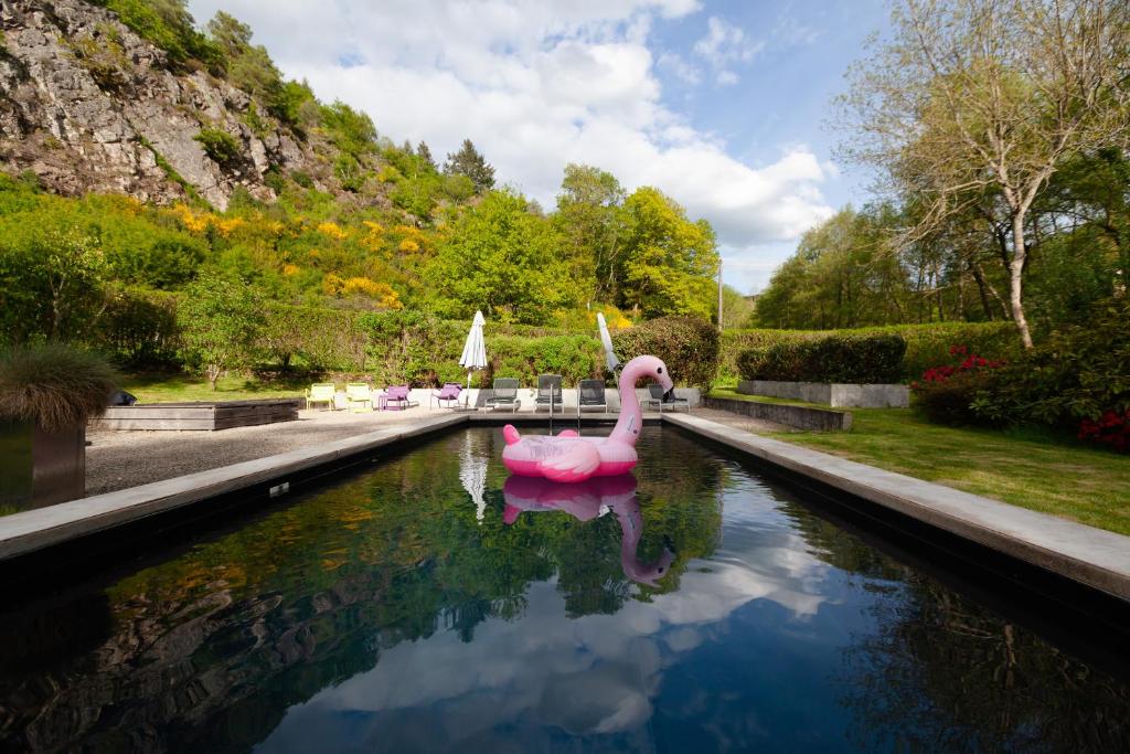 欧坦Moulin Renaudiots - Maison d'hôtes的花园里池塘里的粉红色天鹅
