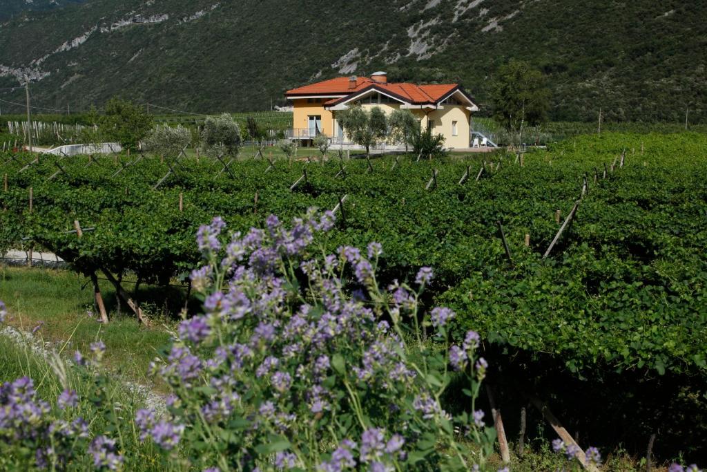 德罗Appartamenti Al Vigneto的紫色花丛中的房子