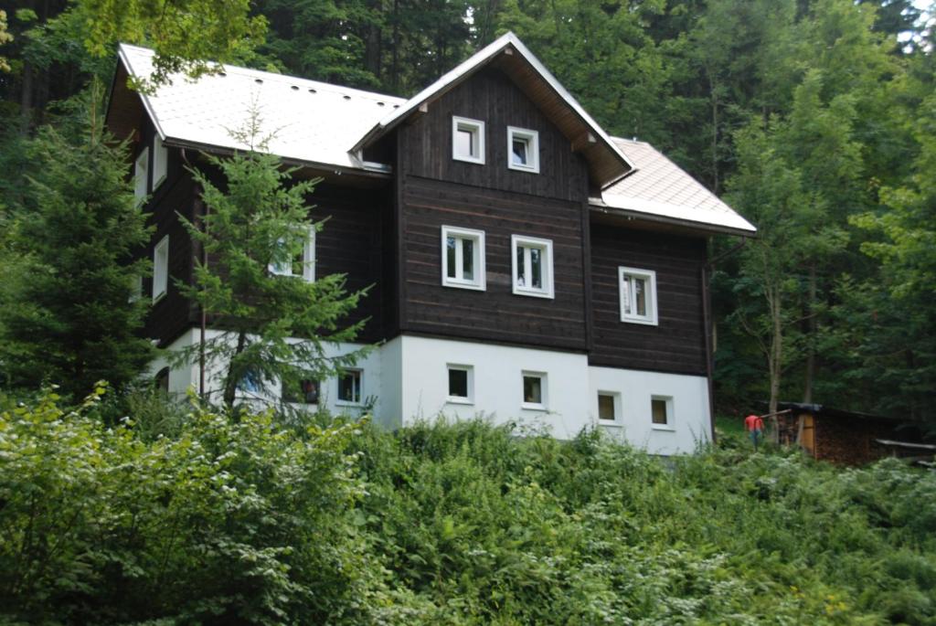 捷克布杰约维采Na Černém potoce的一座树木茂密的山丘上的黑白房子