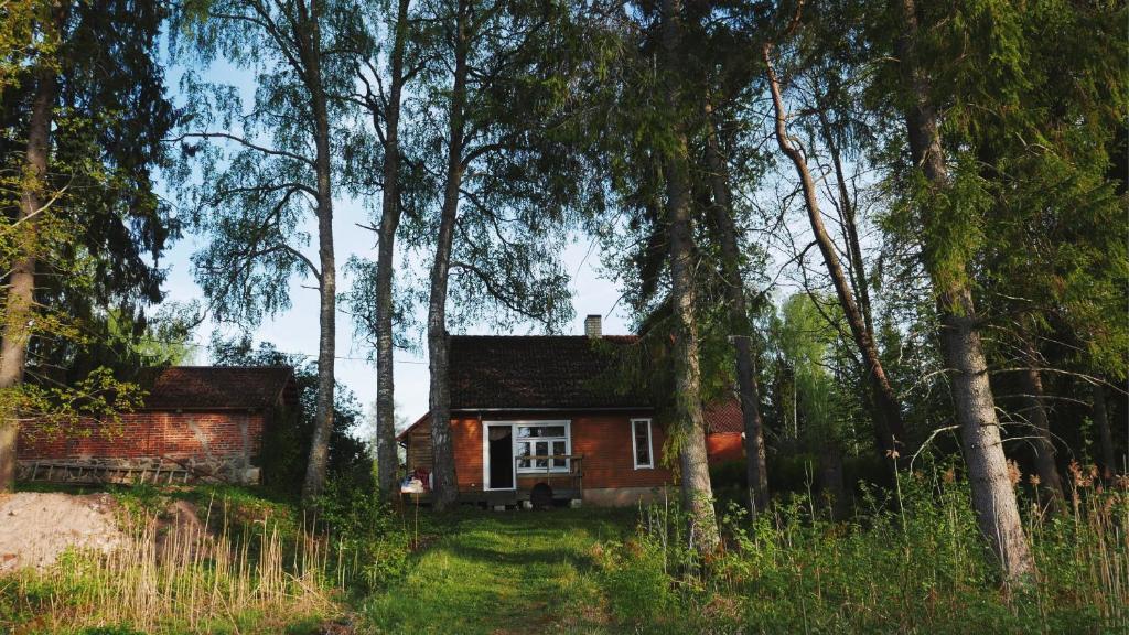 Suure-JaaniAllika-Löövi Sauna Cabin的森林中间的小房子