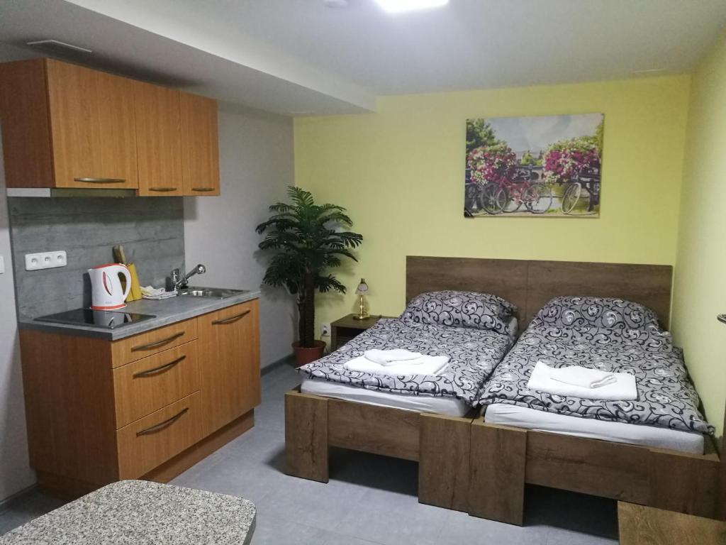 兹诺伊莫Penzion Miri的一间卧室配有一张床,厨房配有水槽