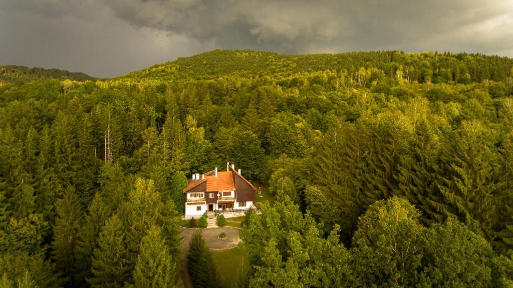 BrăduţKormos Residence的森林中间房屋的空中景观