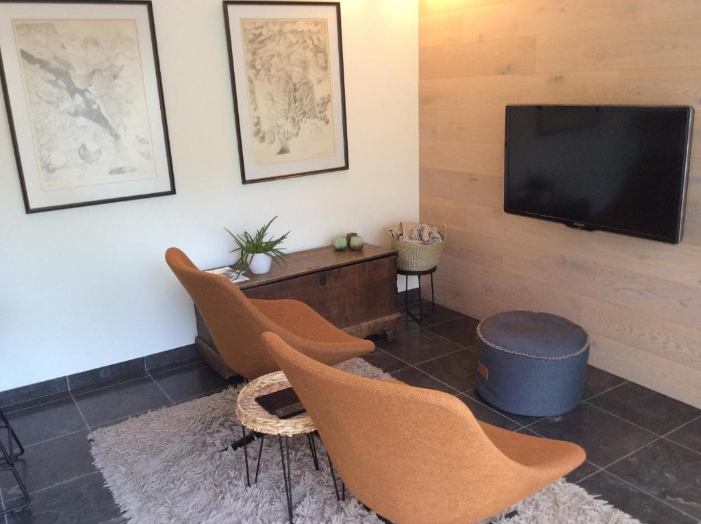 ZottegemPoortbossen的客厅配有椅子和平面电视