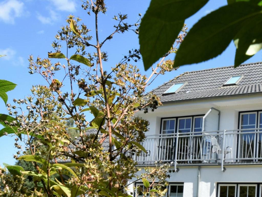 格拉尔-米里茨Spacious apartment in Graal-Muritz Germany with Balcony的前面有一棵树的房子