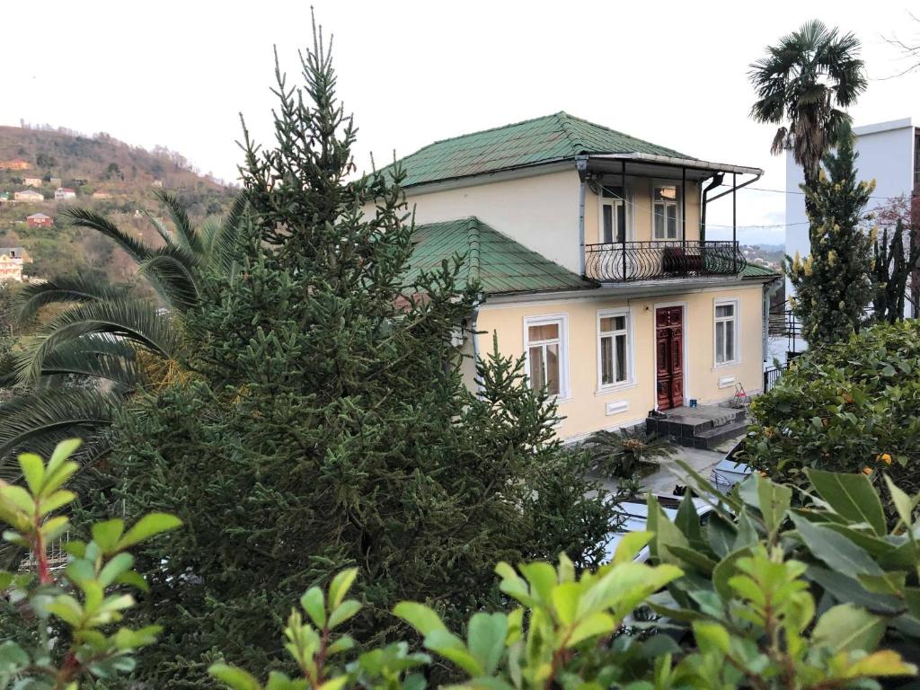 姆兹瓦内康茨基Guest House Lasha的前面有圣诞树的房子