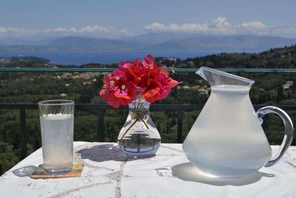 Áyioi DhékaErmina's gaze的一张带花瓶的桌子和一杯水和鲜花