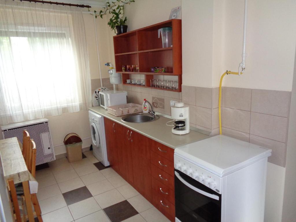 豪伊杜索博斯洛Otthon Apartman的一间带水槽和洗碗机的小厨房