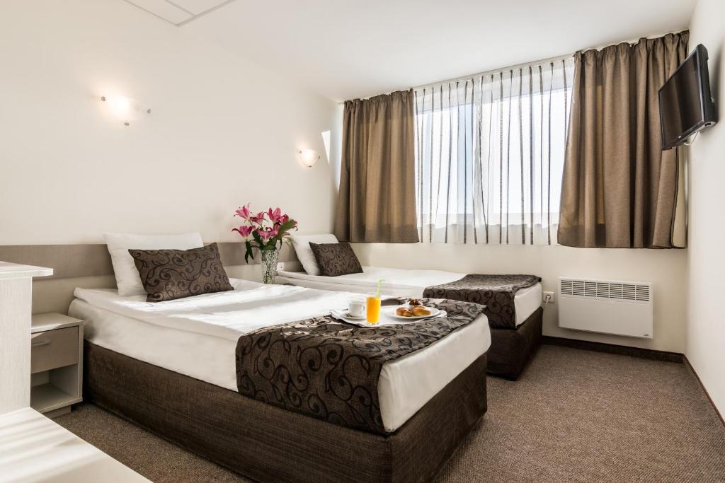 索非亚莫斯科公园酒店 的酒店客房设有两张床和一张桌子。
