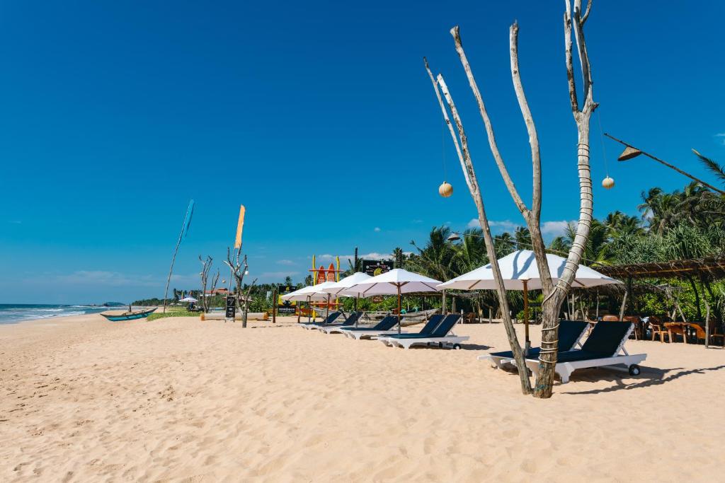 本托塔Amal Beach Hotel的海滩上的一排椅子和遮阳伞