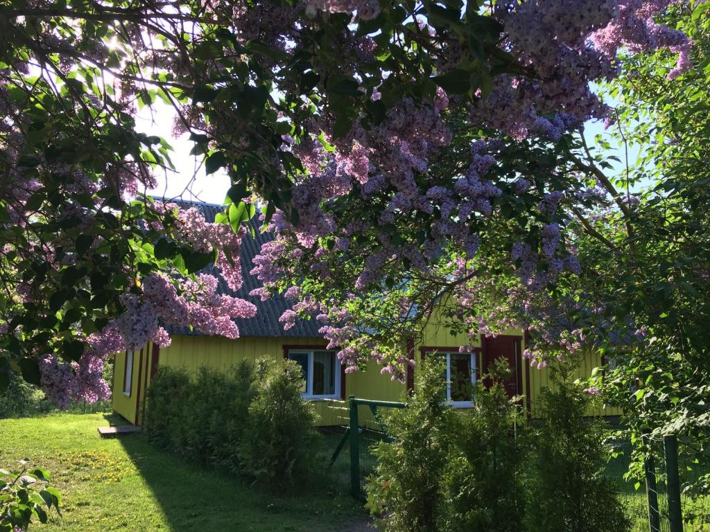 LemsiKuraga Homestay in Kihnu的前面有紫色花卉的房子