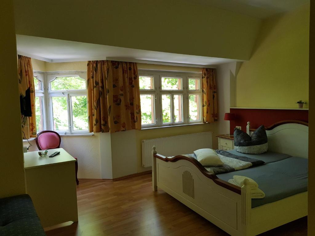 格赖茨Parkschlösschen in Greiz的一间卧室设有一张床和两个窗户。