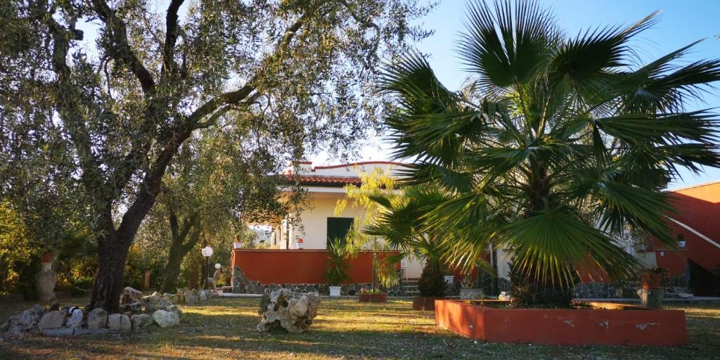 维耶斯泰B&B Uliveto del Gargano的院子里有棕榈树的房子