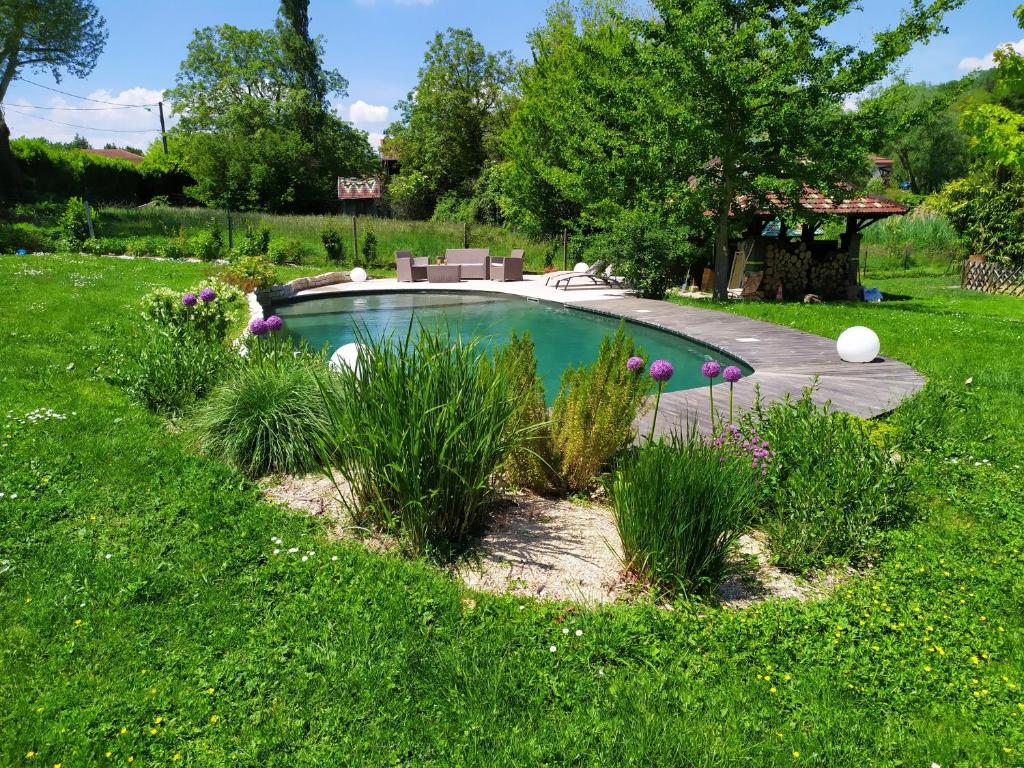 VernaisonLa Fée des Eaux的一座种有草和花的庭院内的游泳池
