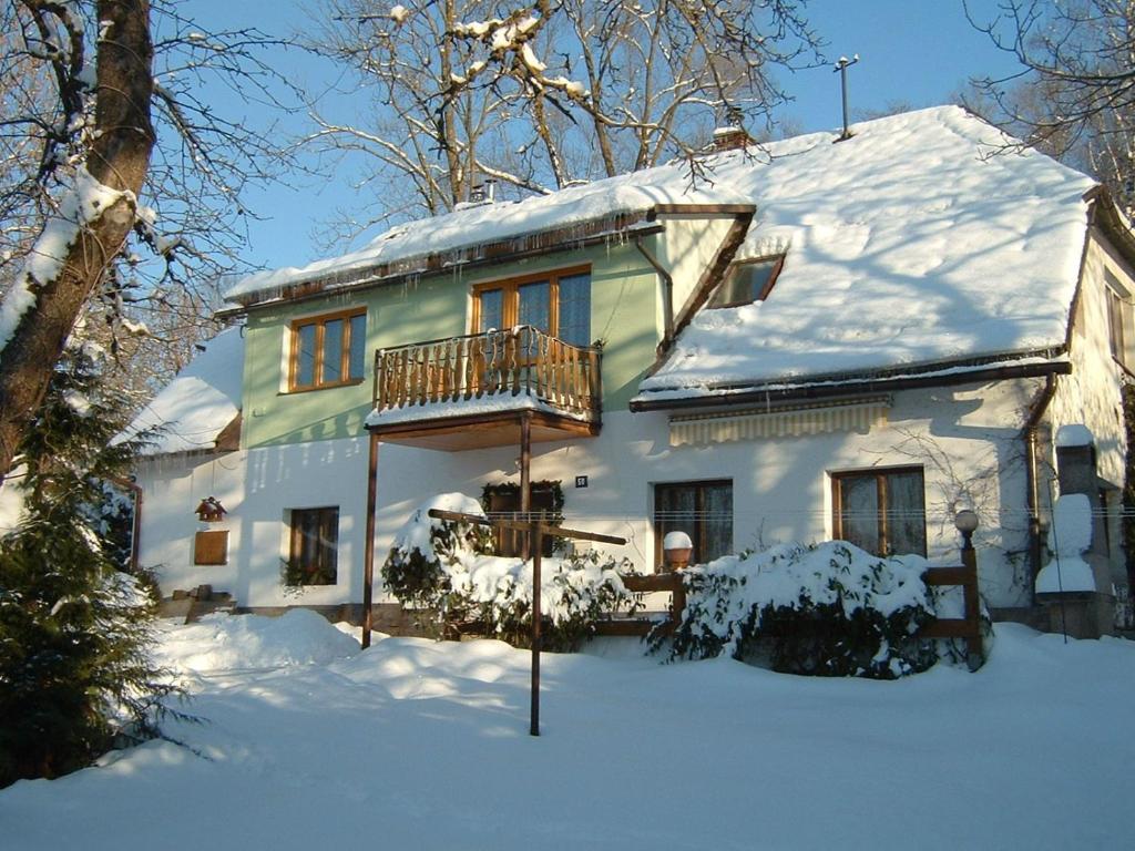 Dolni Dvur霍尼拉诺夫小屋酒店的雪中带阳台的房子