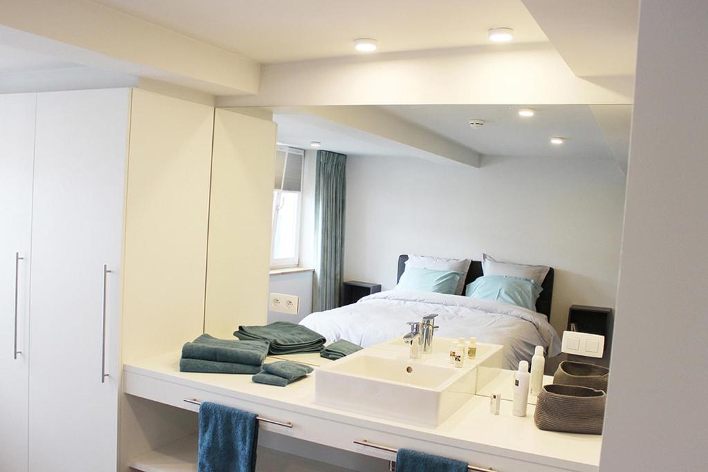 斯塔沃洛Remacle3的一间卧室配有水槽和一张带镜子的床