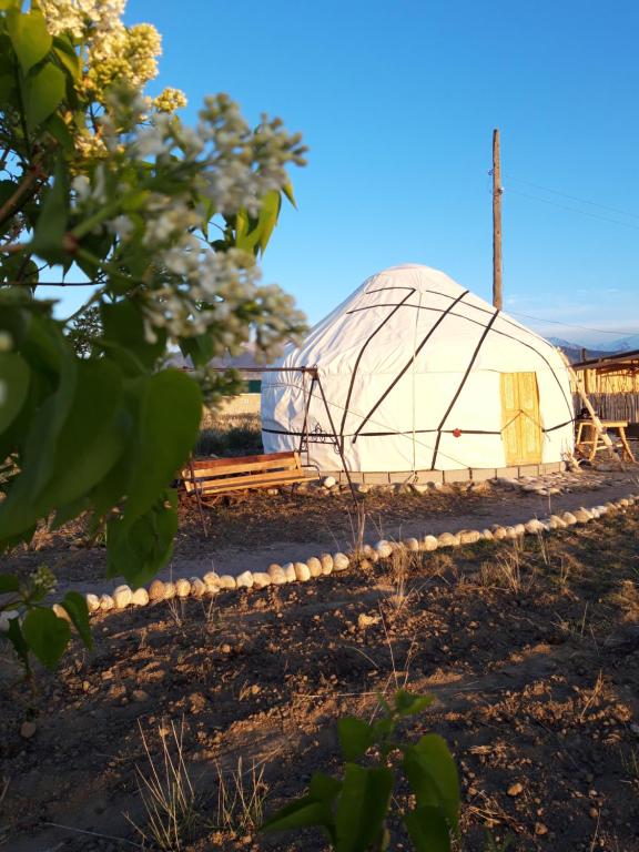 博孔巴耶沃Yurt camp Sonun的田野中间的圆顶帐篷