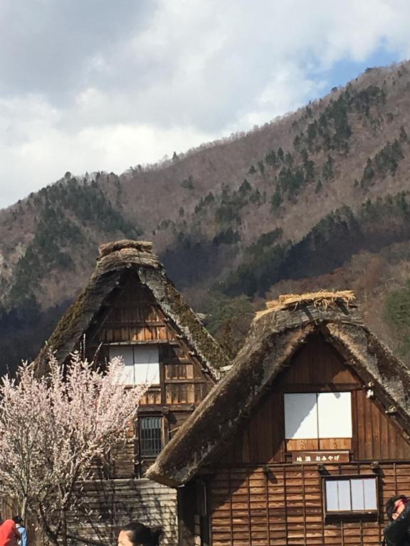 山景或在公寓看到的山景