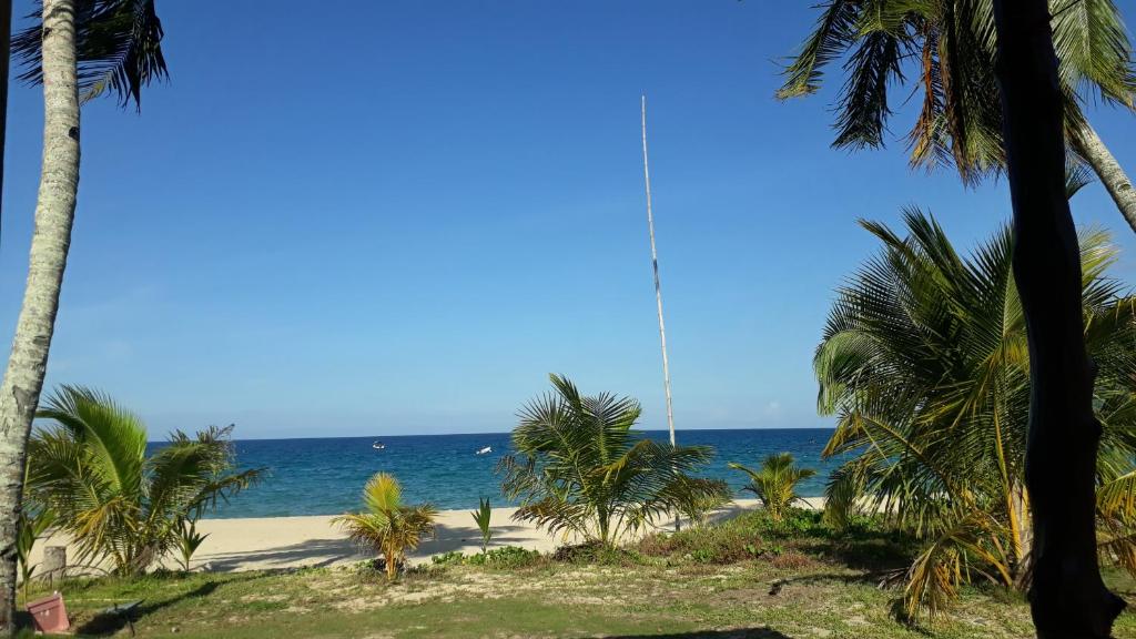 Kampong Juarajuara seaview chalet, kampung juara的棕榈树海滩和海洋