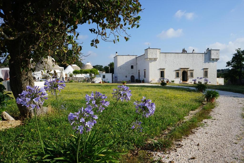 奥斯图尼Masseria Ferri的白色建筑前方的紫色花田