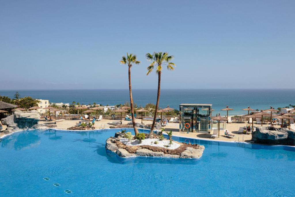 甘迪亚海滩Alua Village Fuerteventura - All Inclusive的一座棕榈树和海洋的大型游泳池