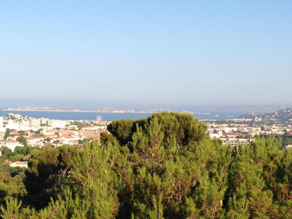 马赛乡间普勒玛酒店的从树顶上可欣赏到城市美景