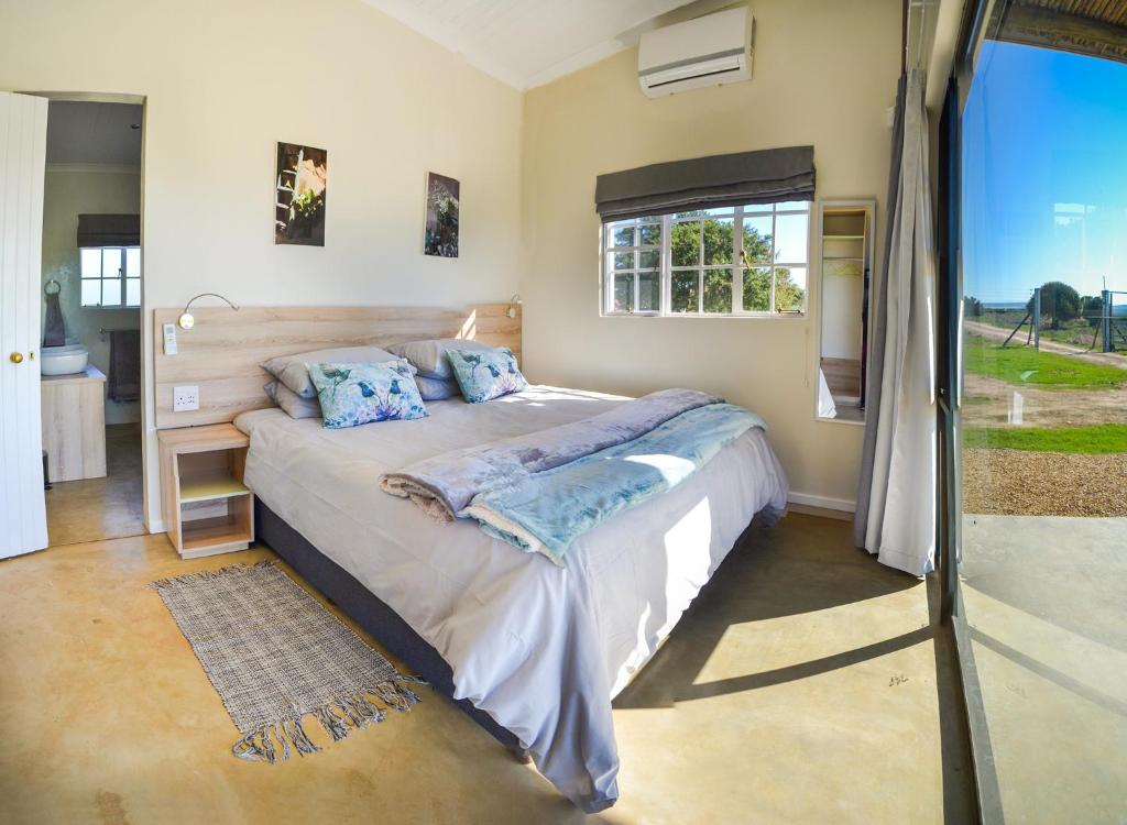 阿多Addo Park Vista的一间卧室配有一张带蓝色枕头的大床
