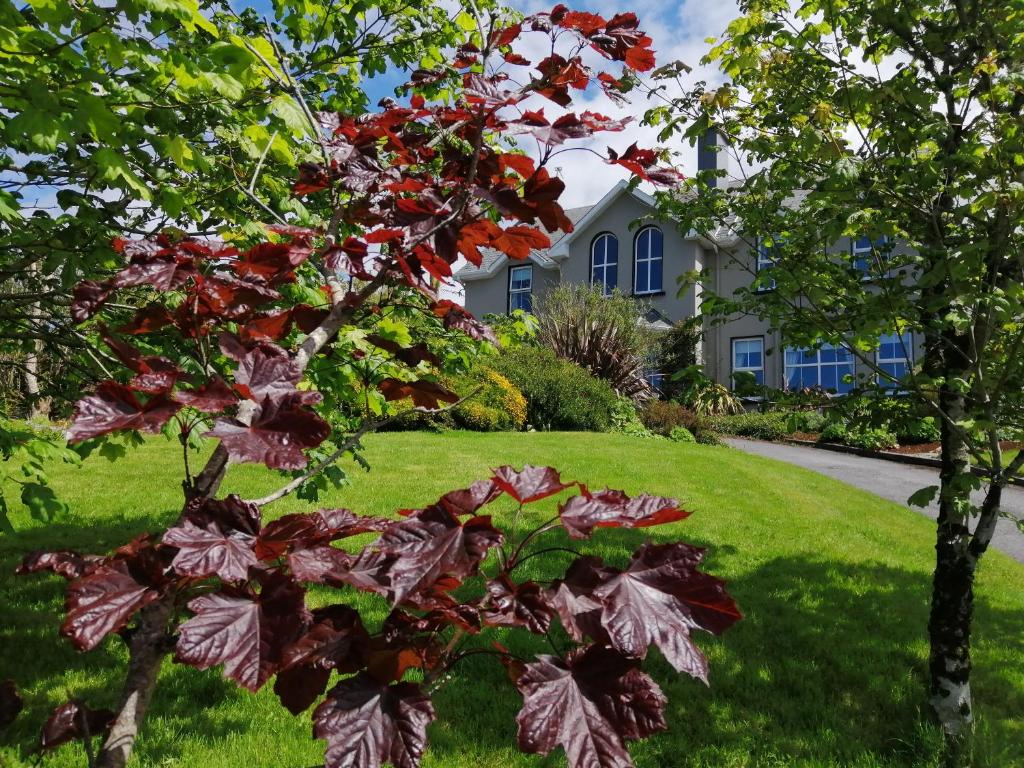 利敦瓦纳Apartments at Ballinsheen House & Gardens的房子前面有红叶的树