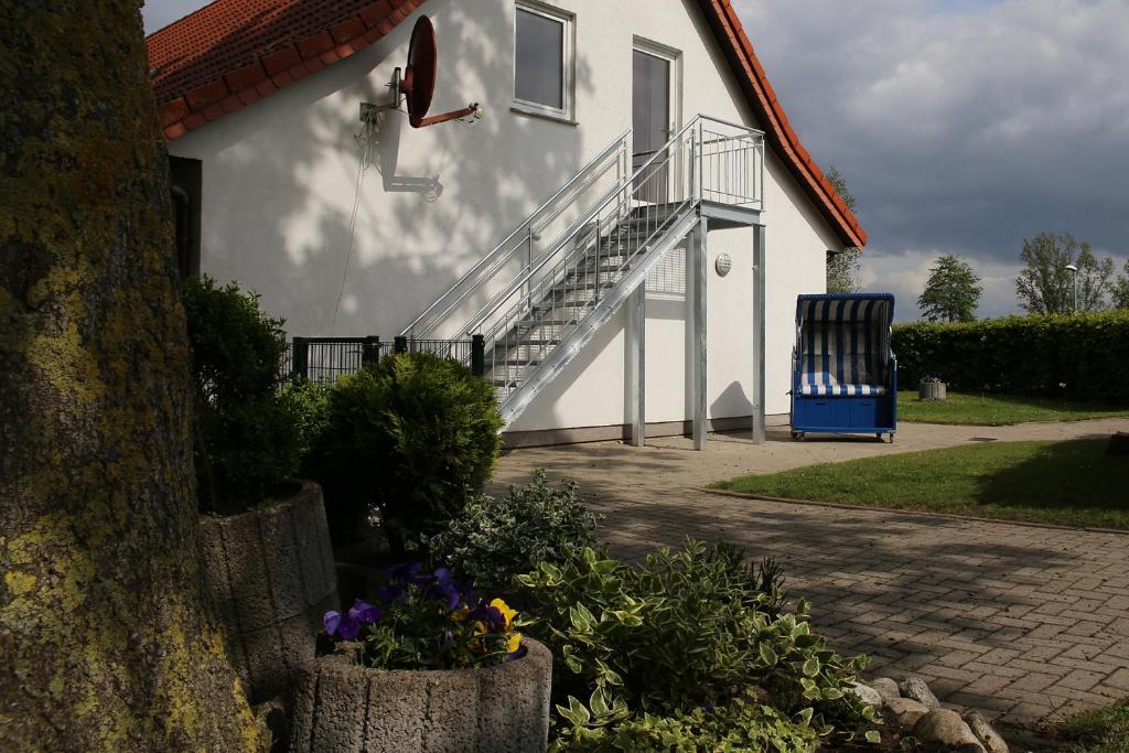 多鲁姆纽菲尔德Ferienwohnung am Schwarzen Wehl的白色的房子,设有楼梯和蓝色椅子