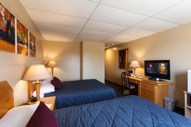 Steinbach弗朗茨酒店 的酒店客房设有两张床、一张桌子和一台电视。