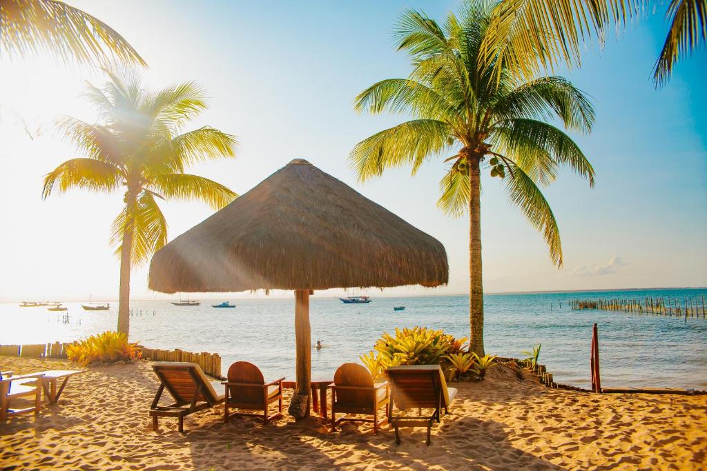 巴拉格兰德Pousada Ponta do Muta的海滩上,有椅子和棕榈树,还有大海