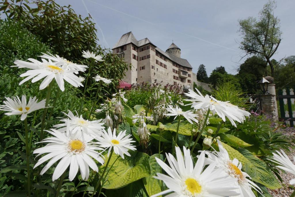 阿尔普巴赫谷地赖特Schloss Matzen的建筑物前的一堆白色花