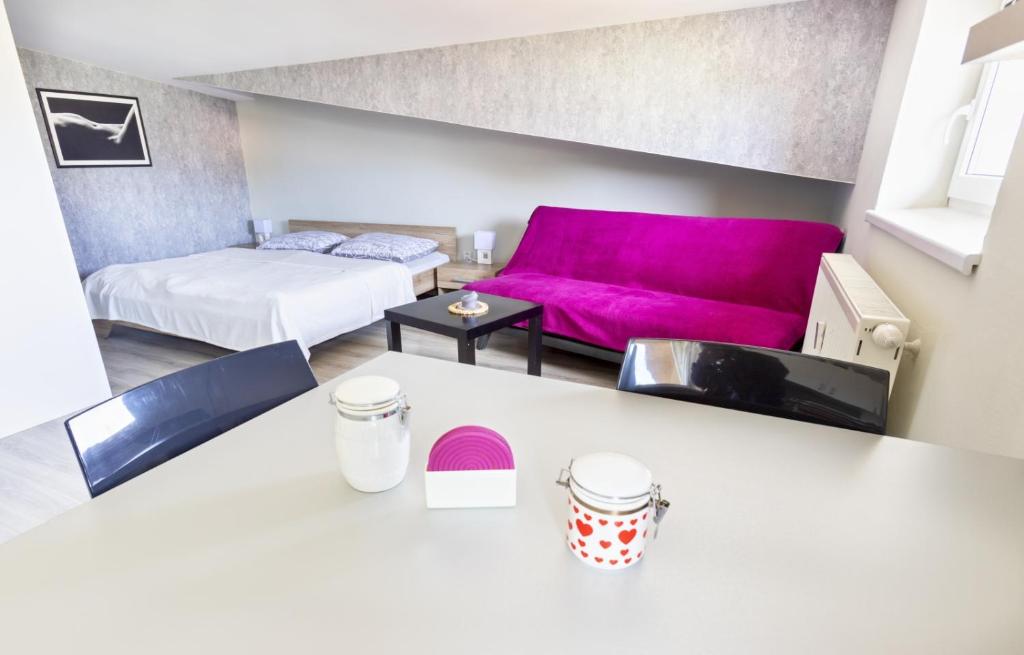 维尔奇斯拉夫科夫Apartmán Theo的客厅配有粉红色的沙发和床。