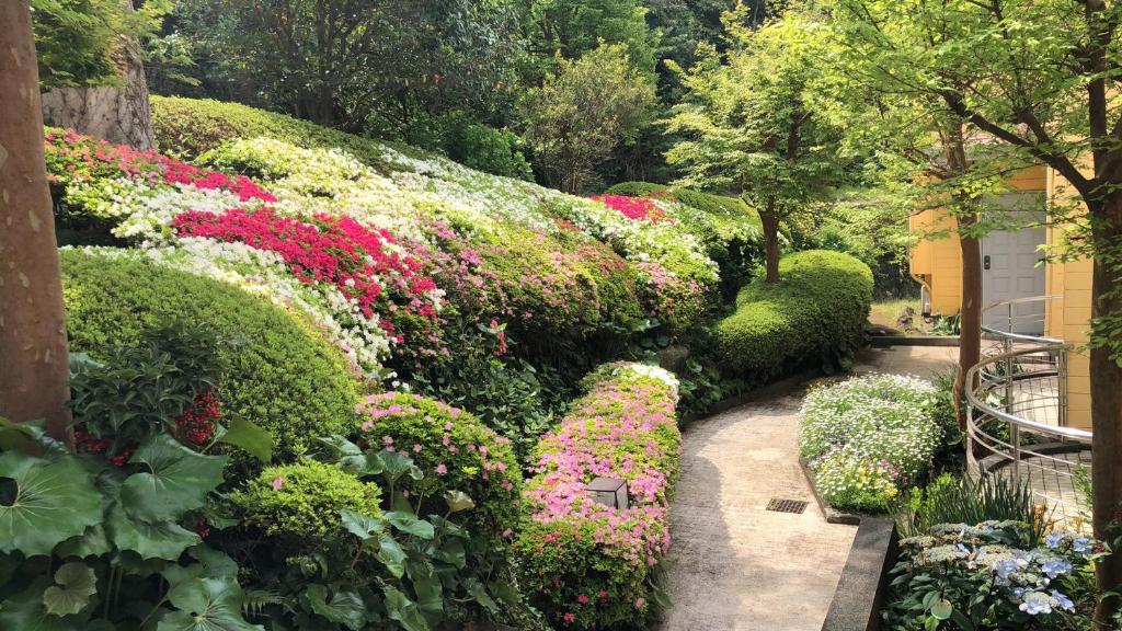 Futo伊道荘園的花朵多彩的灌木花园