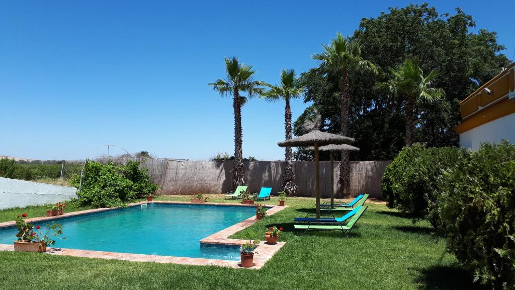 卡莫纳Cortijo Santa Clara的棕榈树庭院内的游泳池