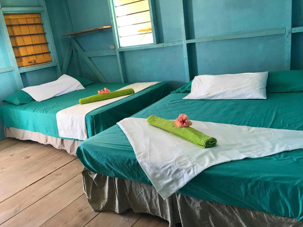 玉米岛Sunrise Paradise/Carlito´s Place的蓝色墙壁客房的两张床