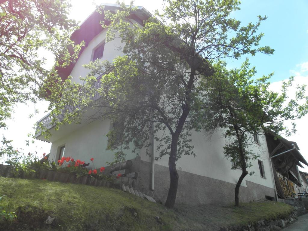 佐尔尼耶戈迪Pr' Hribar的一座白色的山丘房子,种有树木和鲜花