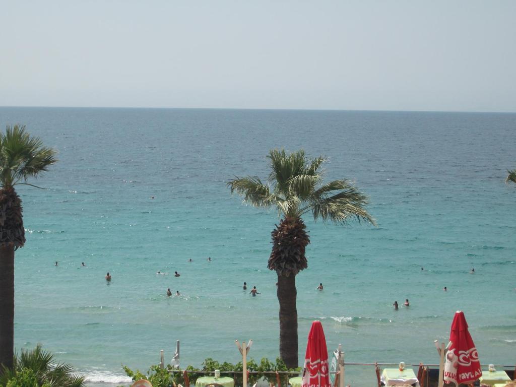 库萨达斯海滩别墅的一片海滩,人们在海里游泳,种着棕榈树