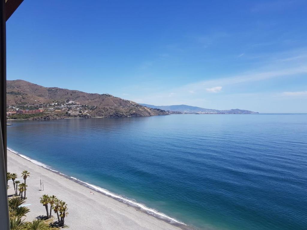 阿尔姆尼卡Ático en Almuñecar. Primera línea de playa con vistas espectaculares的享有棕榈树海滩和大海的景色