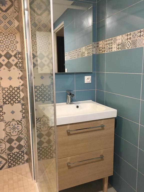 滨海布洛涅T3 Nausicaa Parking gratuit的一间带水槽和淋浴的浴室