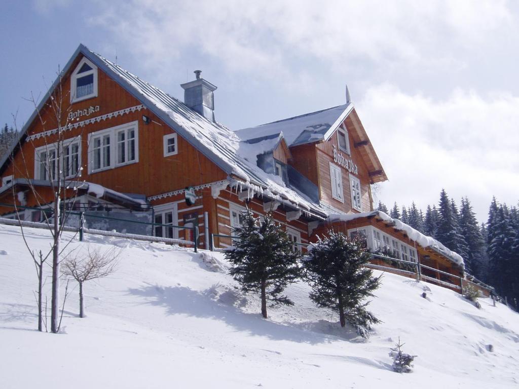 派克波特斯耐兹库索哈卡小屋宾馆 的雪盖雪坡顶上的大型木屋