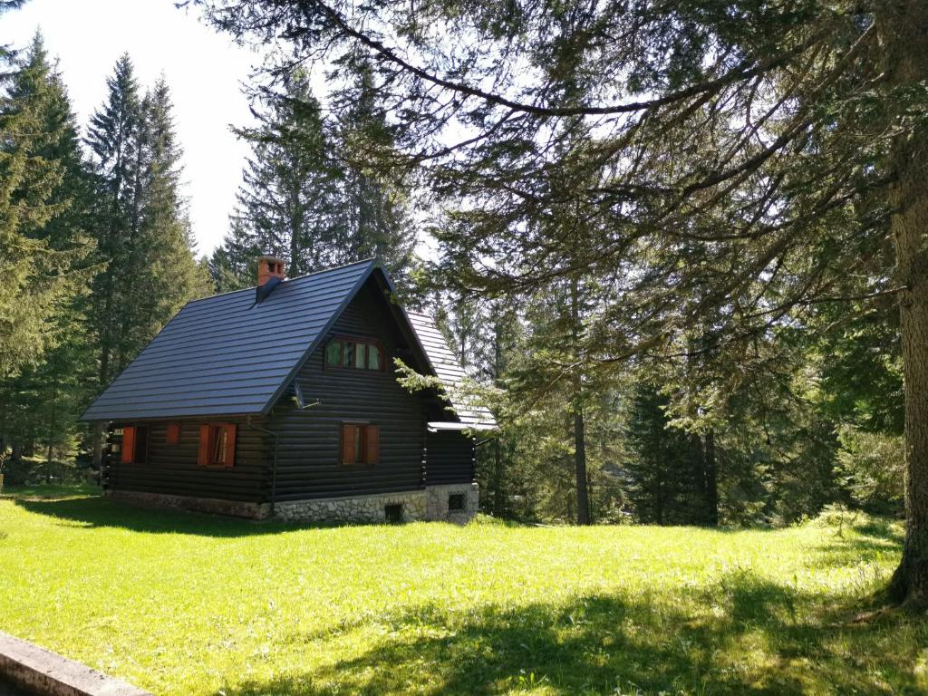佐尔尼耶戈迪Chalet Stara Jelka Pokljuka的树木林立的小小屋