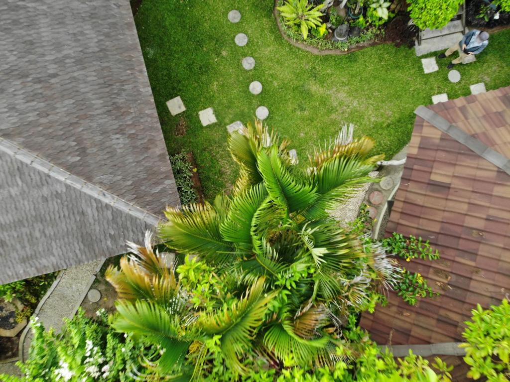 金巴兰Bale Asri Bukit Jimbaran的棕榈树草坪上方的景色