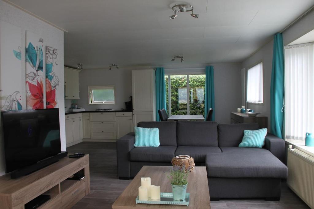 皮滕Modern en compleet chalet 22-15的带沙发和电视的客厅