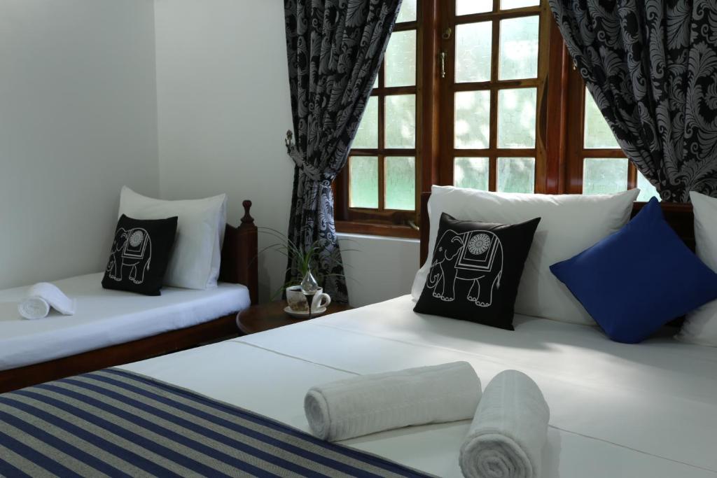阿努拉德普勒阿姆斯特丹旅游休憩住宿加早餐旅馆的卧室配有带枕头的床铺和窗户。