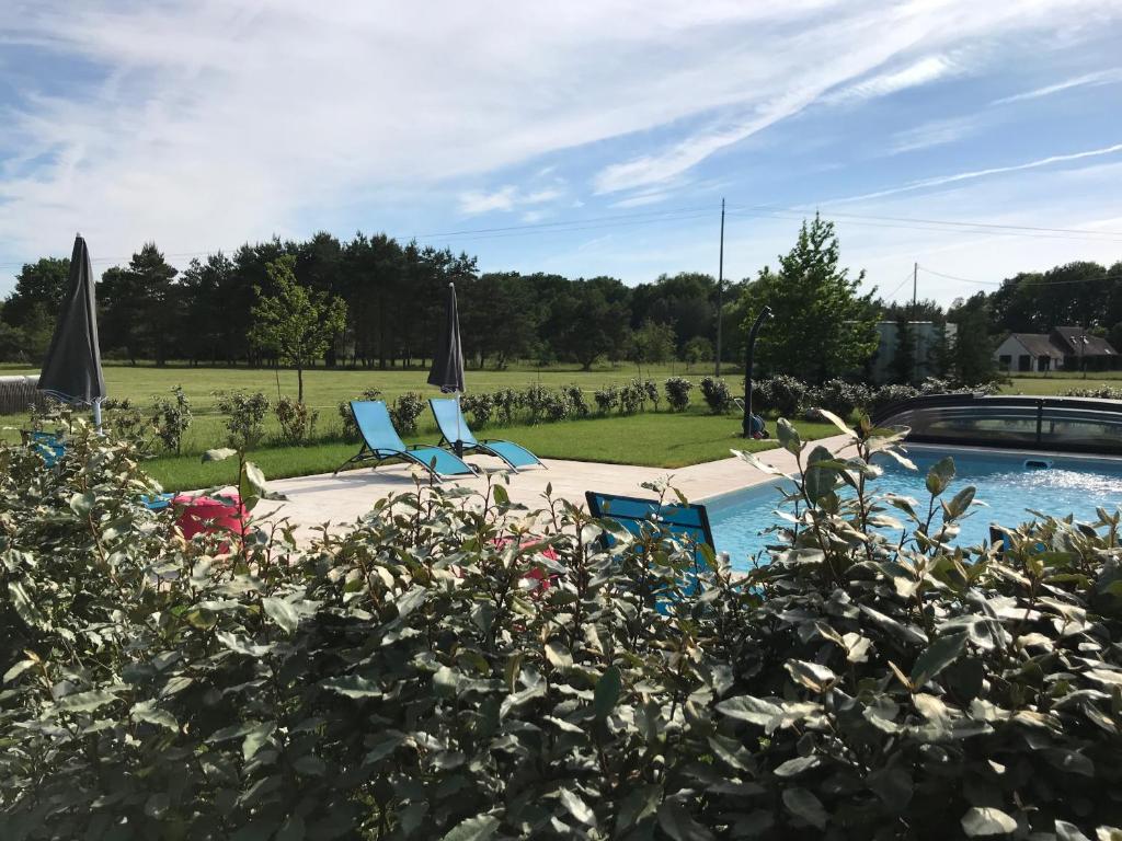 谢韦尔尼La Levraudière的庭院内一个带椅子和遮阳伞的游泳池