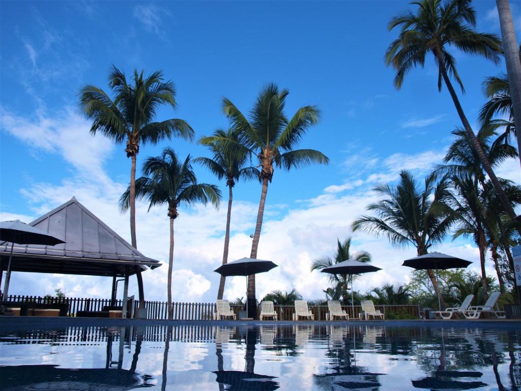 圣吉尔莱班白鹭酒店的一座棕榈树、椅子和遮阳伞的游泳池