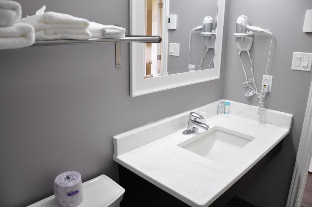 萨德伯里Moonlight Inn and Suites Sudbury的一间带水槽、镜子和卫生间的浴室