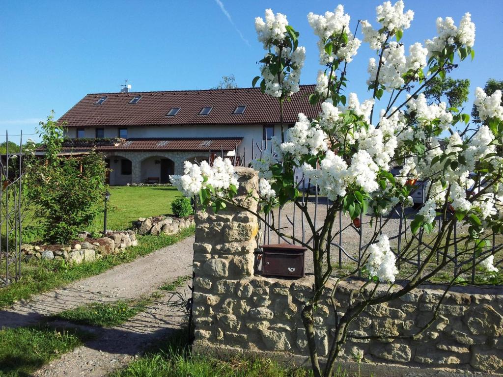 马达伯乐斯拉夫钢琴牧场旅馆的建筑物前有白色花的树