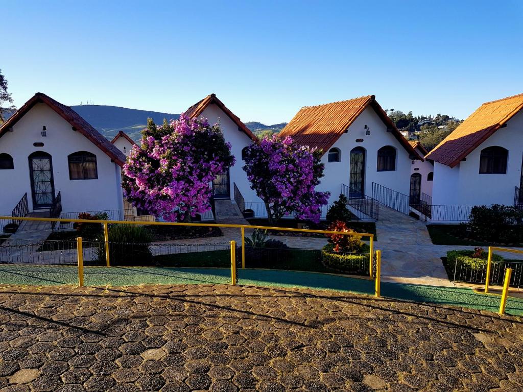 塞拉内格拉阿克罗波利斯酒店的前面一排种着紫色花的房屋